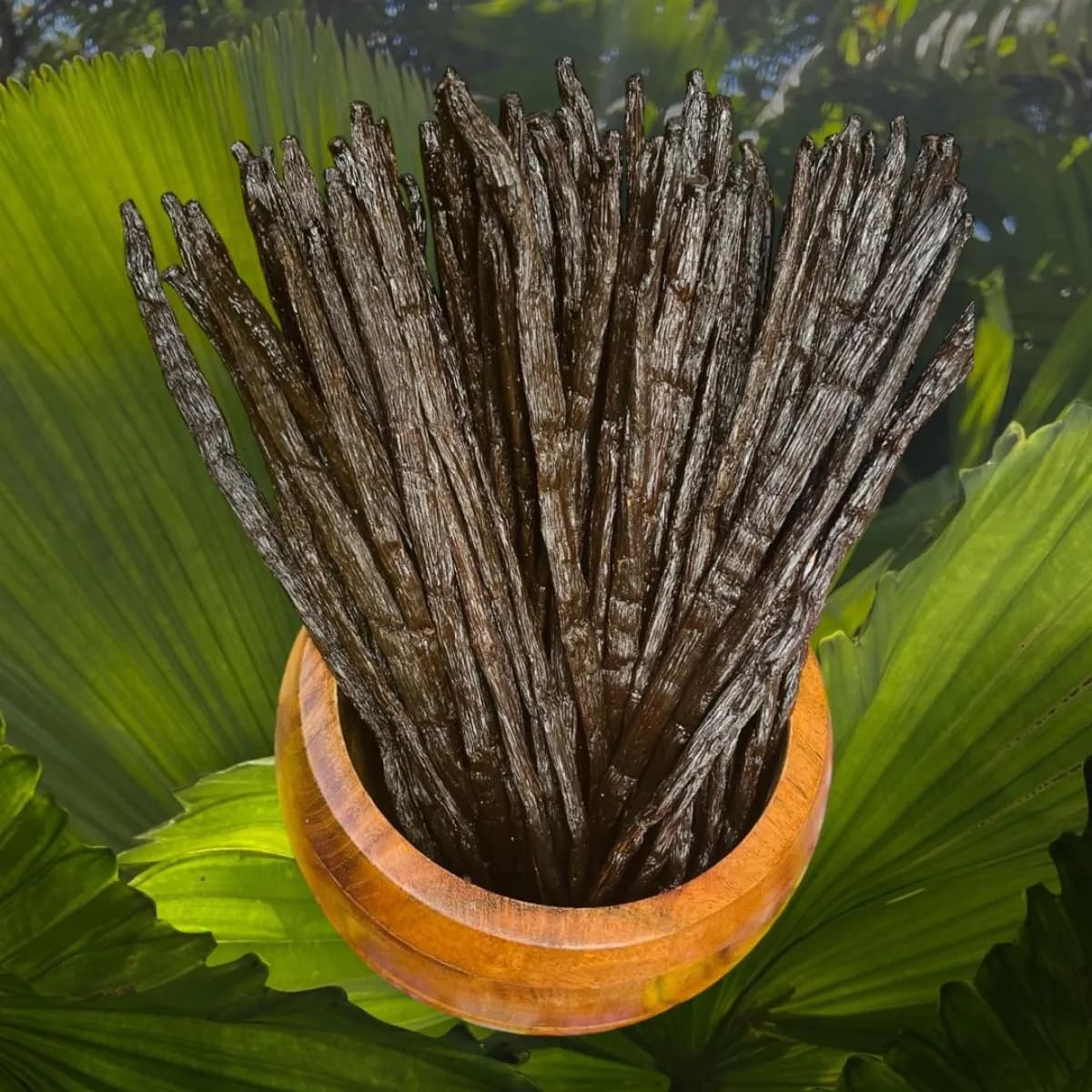 Gousse de vanille de Bourbon 20cm