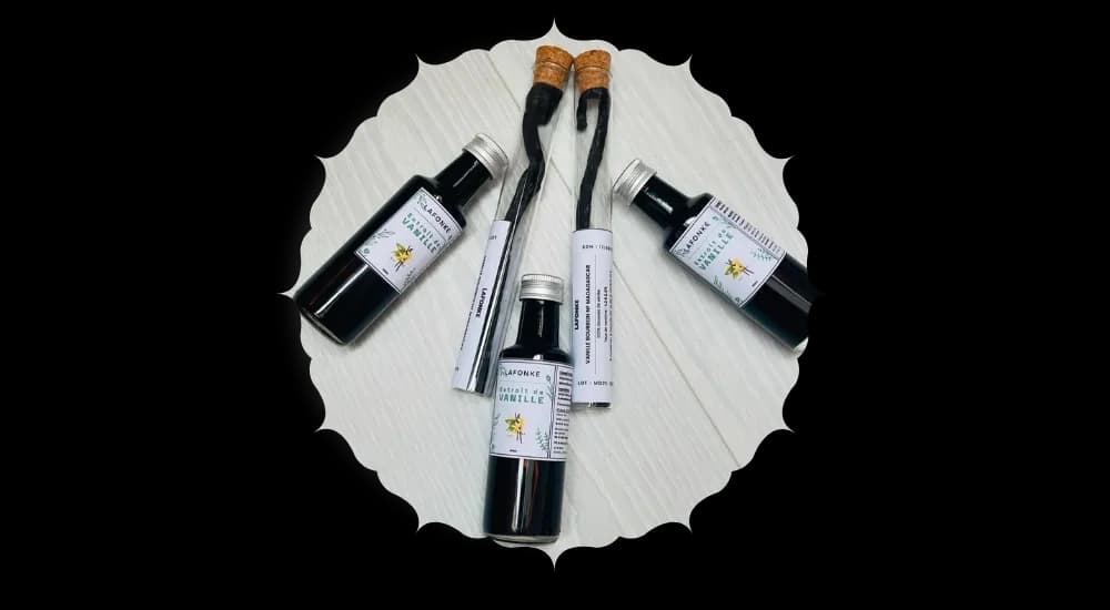 Gousses de vanille de Bourbon
